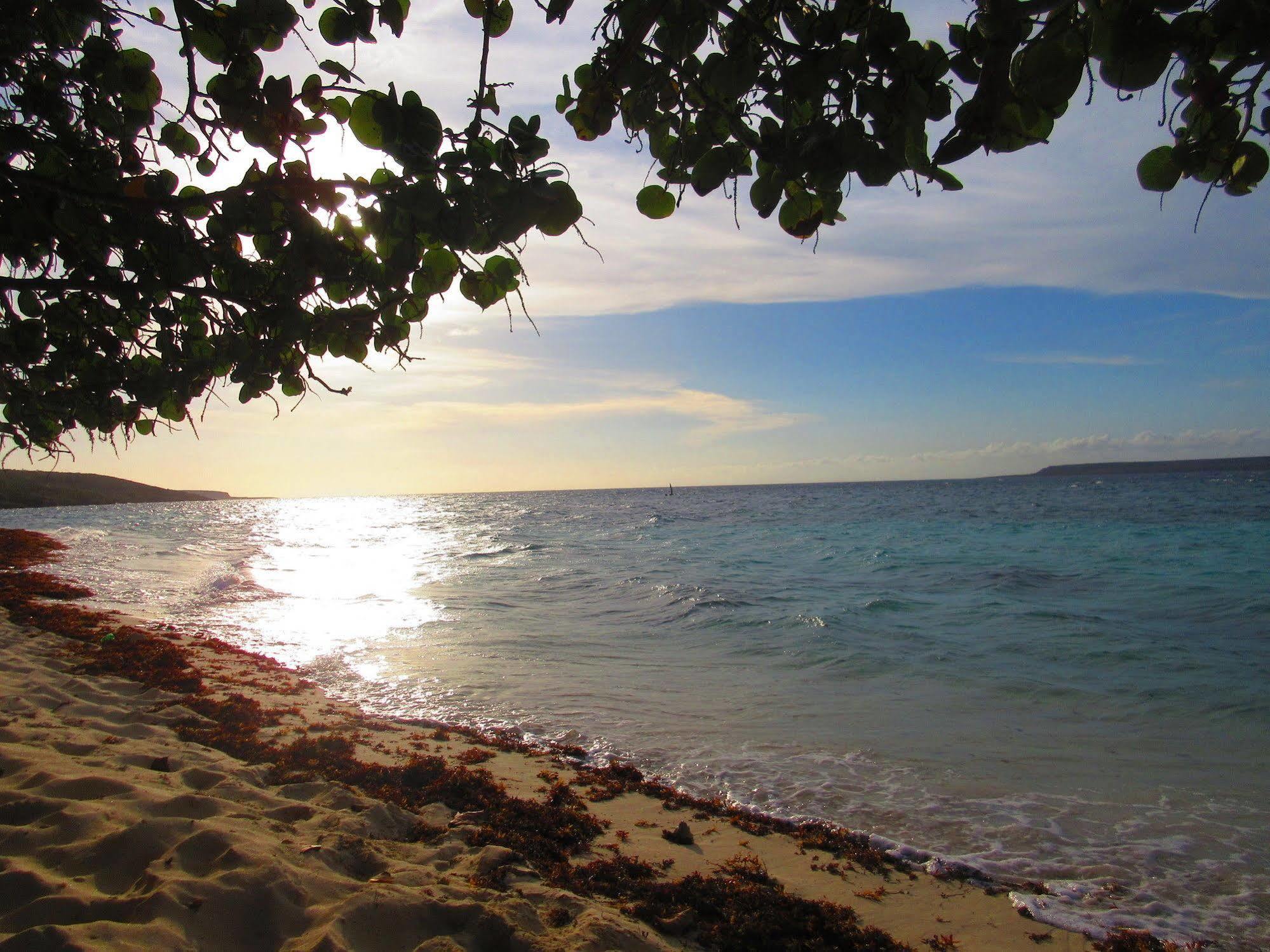 Boukan Guinguette Hotel Mole-Saint-Nicolas Luaran gambar